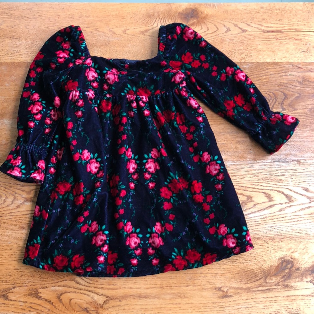 Janie and Jack velvety rose dress 🌹
